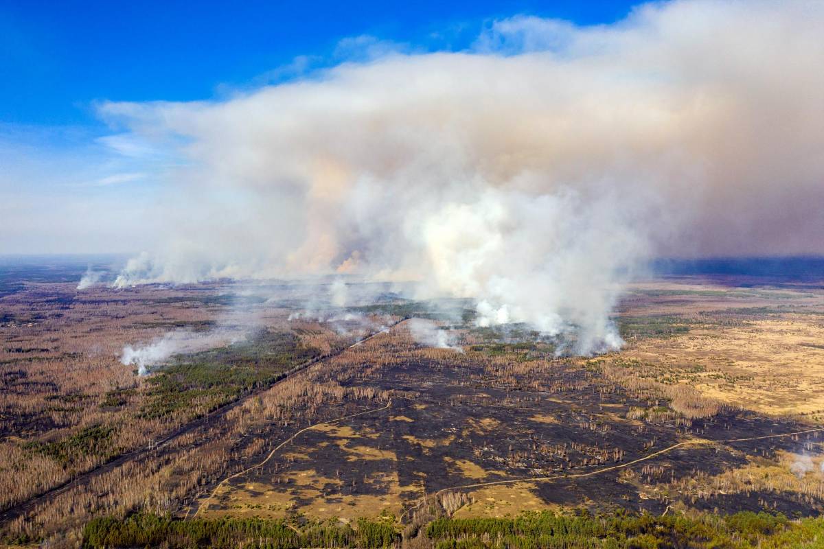 Los fuertes vientos que se registran en la zona complican más las tareas de los bomberos. Foto AFP