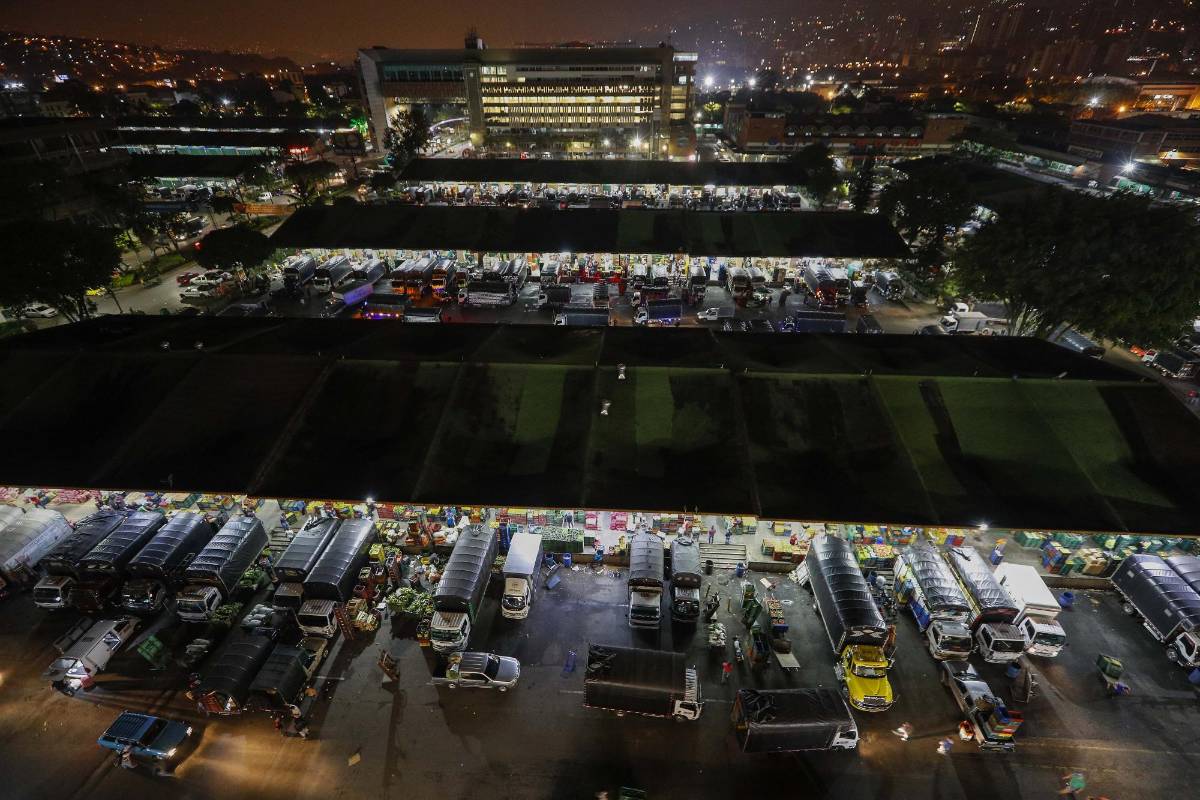 Con un aproximado de 5.985 toneladas de productos proveniente del todo departamento, la plaza Mayorista se abastece para que las familias puedan conseguir a precios económicos sus alimentos. Foto: Manuel Saldarriaga Quintero.
