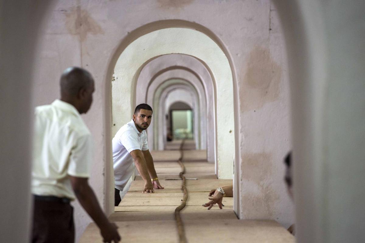 El conocido tabaquero cubano José Castelar “Cueto” terminó de fabricar el puro más grande del mundo, de 90 metros de largo, en honor al aniversario del líder de la Revolución cubana, Fidel Castro, que mañana cumplirá nueve décadas. FOTO AFP
