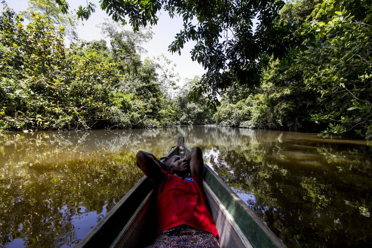 Una ciénaga de cerca de 636 hectáreas a la que la mano destructora del hombre no ha llegado y que hoy quieren convertir en refugio de vida y memoria. FOTOS : JULIO CÉSAR HERRERA