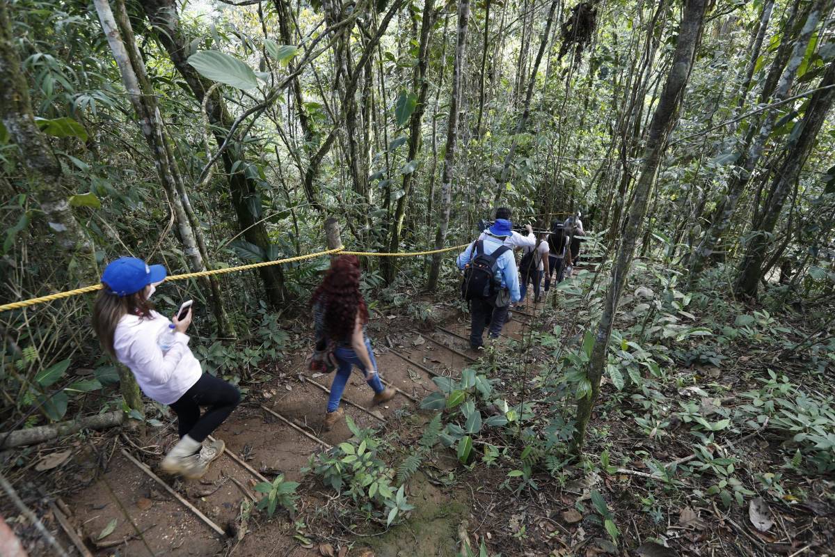 Es uno de los 24 Espacios Territoriales de Capacitación y Reincorporación (Etcr), en el que los excombatientes de la Farc aprovechan sus días para construir futuro a través de un turismo guiado para la comunidad y turistas que desean conocer donde antes eran territorios de conflicto. Foto: Manuel Saldarriaga Quintero