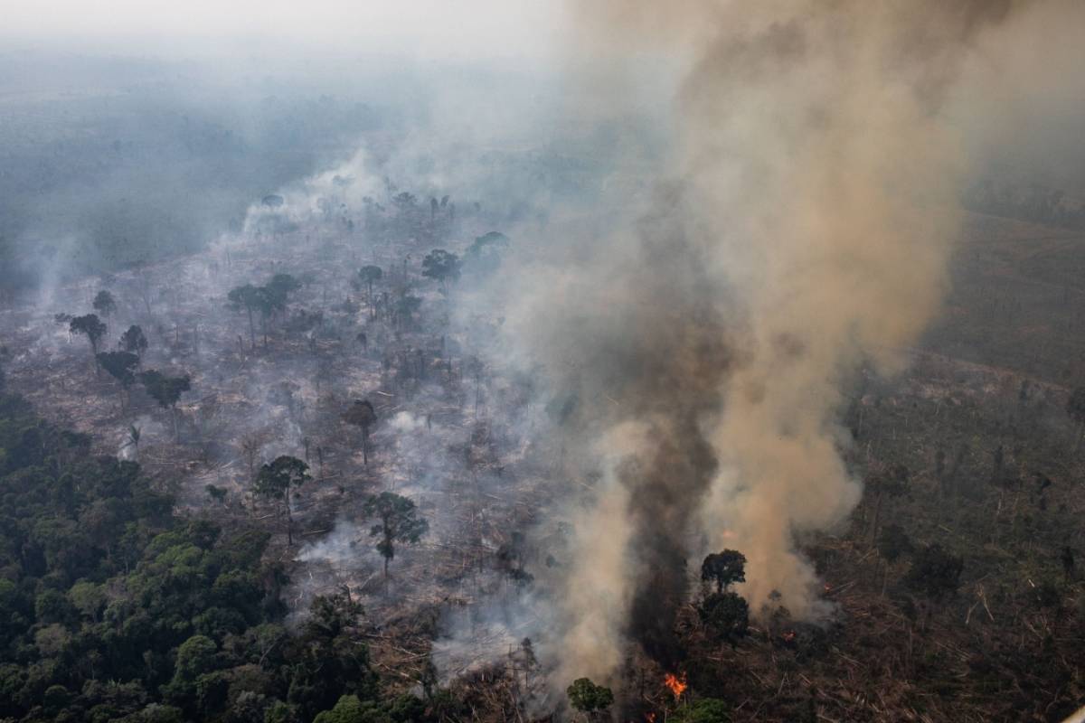 Son nueves los países que comparten la cuenca del Amazonas. FOTOS: GETTY