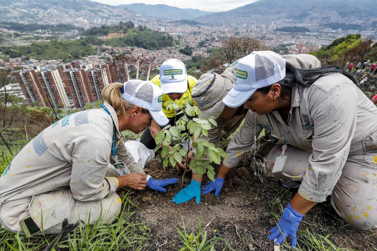 Tras casi tres años de negociaciones con los propietarios del cerro, que eran personas naturales, la administración municipal y el Área Metropolitana del Valle de Aburrá, Amva, aportaron $26.800 millones, cada uno 50 %. FOTO JAIME PÉREZ MUNÉVAR
