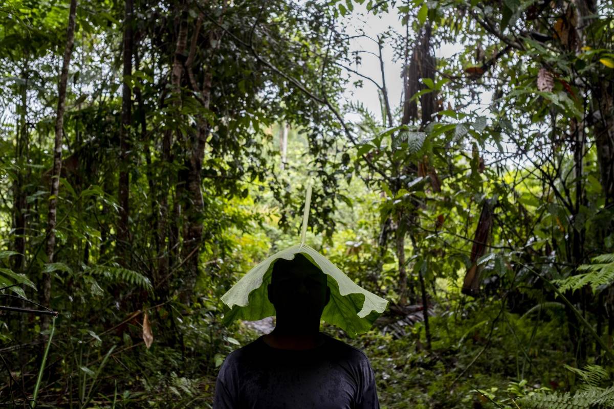 En el espeso monte del sur del país, la comunidad Ticuna de san Pedro de los Lagos viven sus días en medio de la naturaleza combinado con la tecnología. Foto: Santiago Mesa