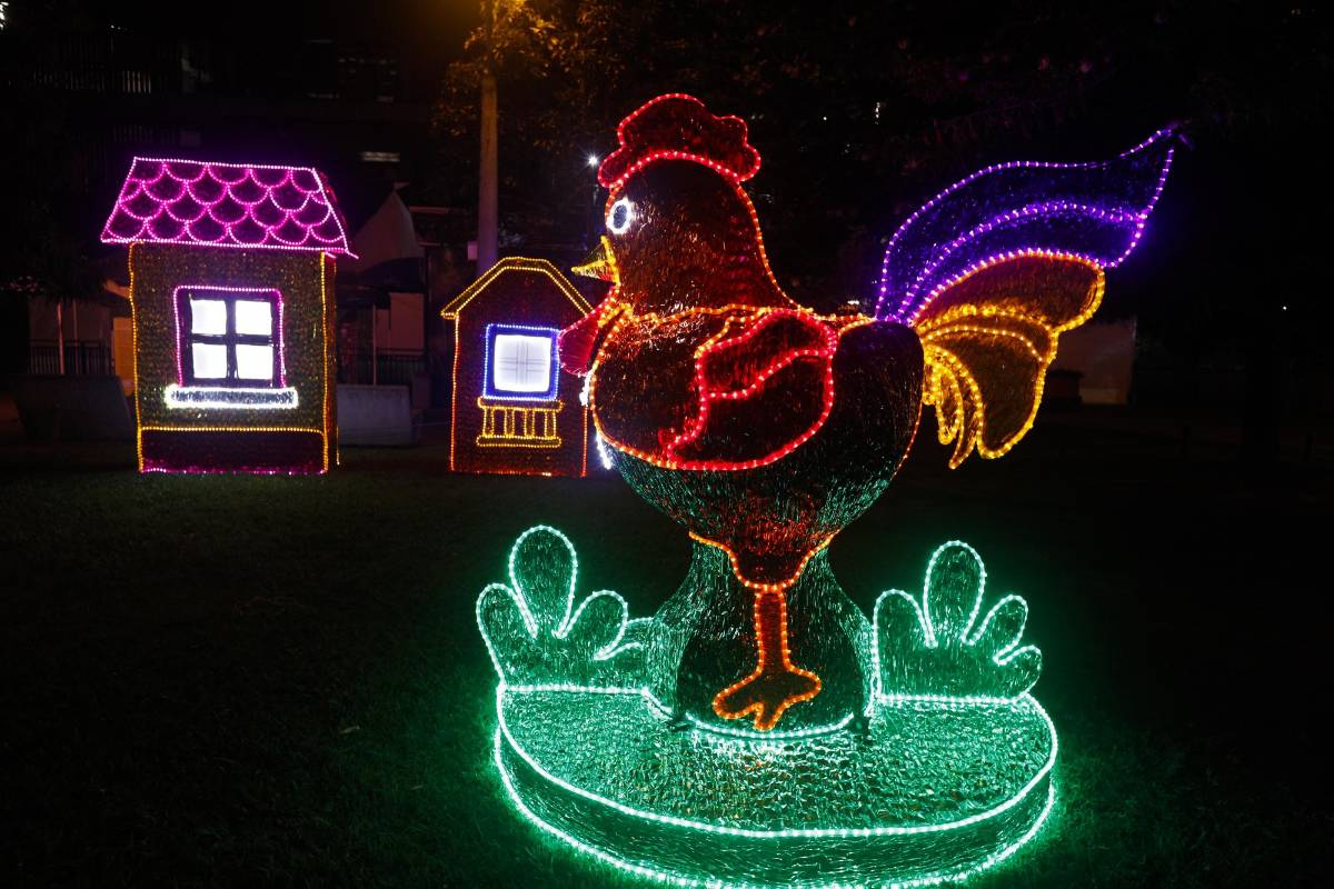 Un ritual de encendido navideño a través del alumbrado, atracción turística de la ciudad de Medellín. Foto: Manuel saldarriaga quintero