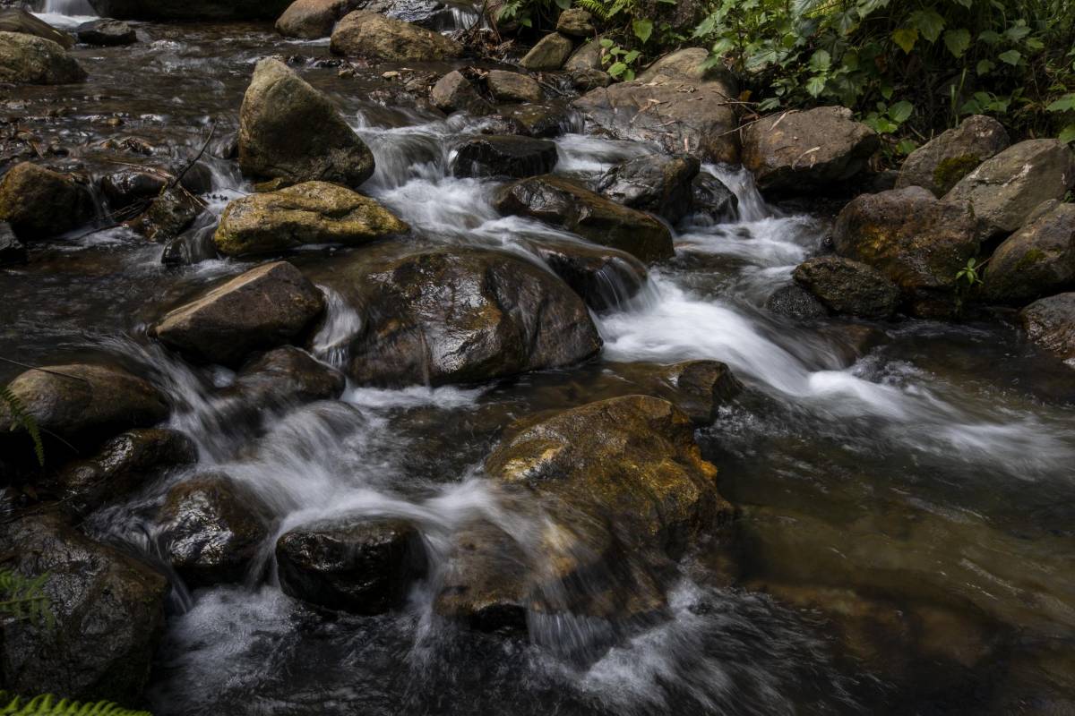 El Vallano, en Envigado, guarda ruidos de la naturaleza: el canto de los pájaros, árboles que se agitan con el viento y el correr del agua por el caudal de la quebrada La Ayurá. Foto: Edwin Bustamante