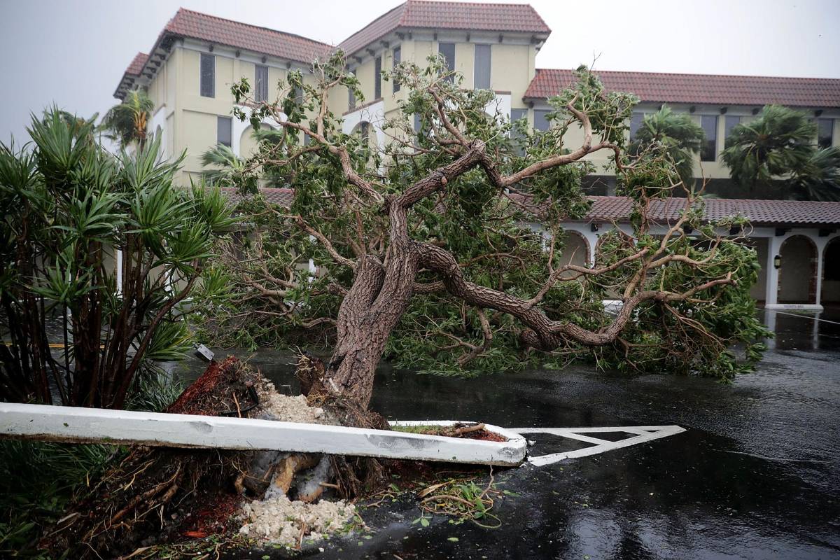 Donald Trump declaró este domingo el estado de catástrofe natural en Florida para socorrer a la península azotada por el gigantesco huracán Irma. FOTO AFP