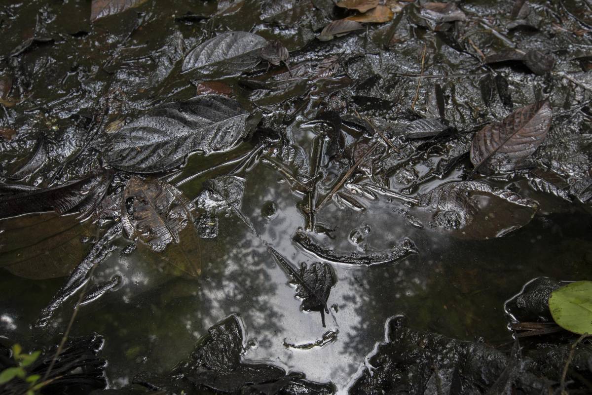 La naturaleza puede tardar hasta 10 años en recuperarse de la contaminación por hidrocarburos. FOTO: Donaldo Zuluaga.