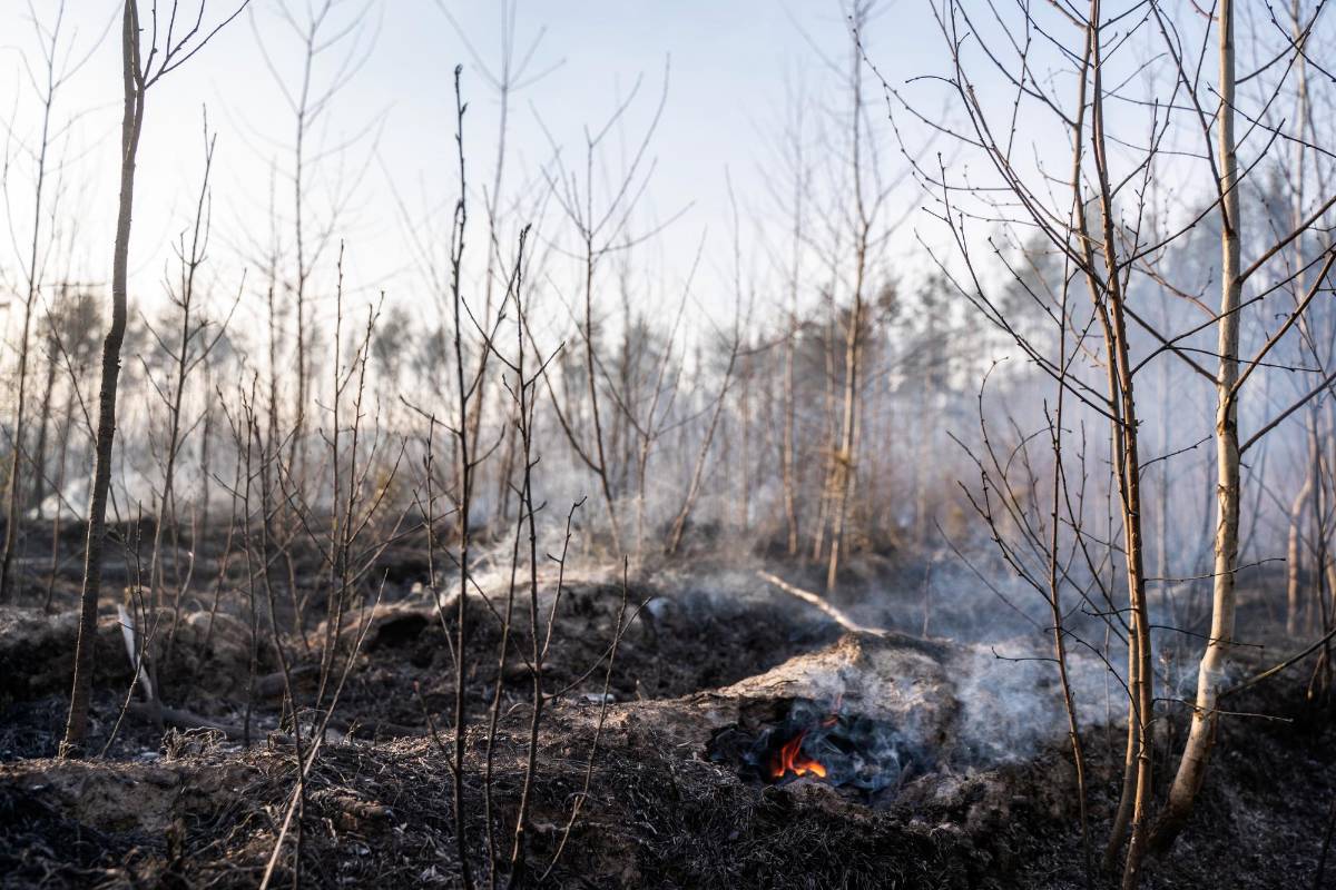 Según las últimas informaciones, el incendio se encuentra a menos de dos kilómetros de los depósitos de residuos radiactivos “Podlesni”, donde está la concentración más altamente radiactiva de toda la zona de Chernóbil y de la misma planta. AFP