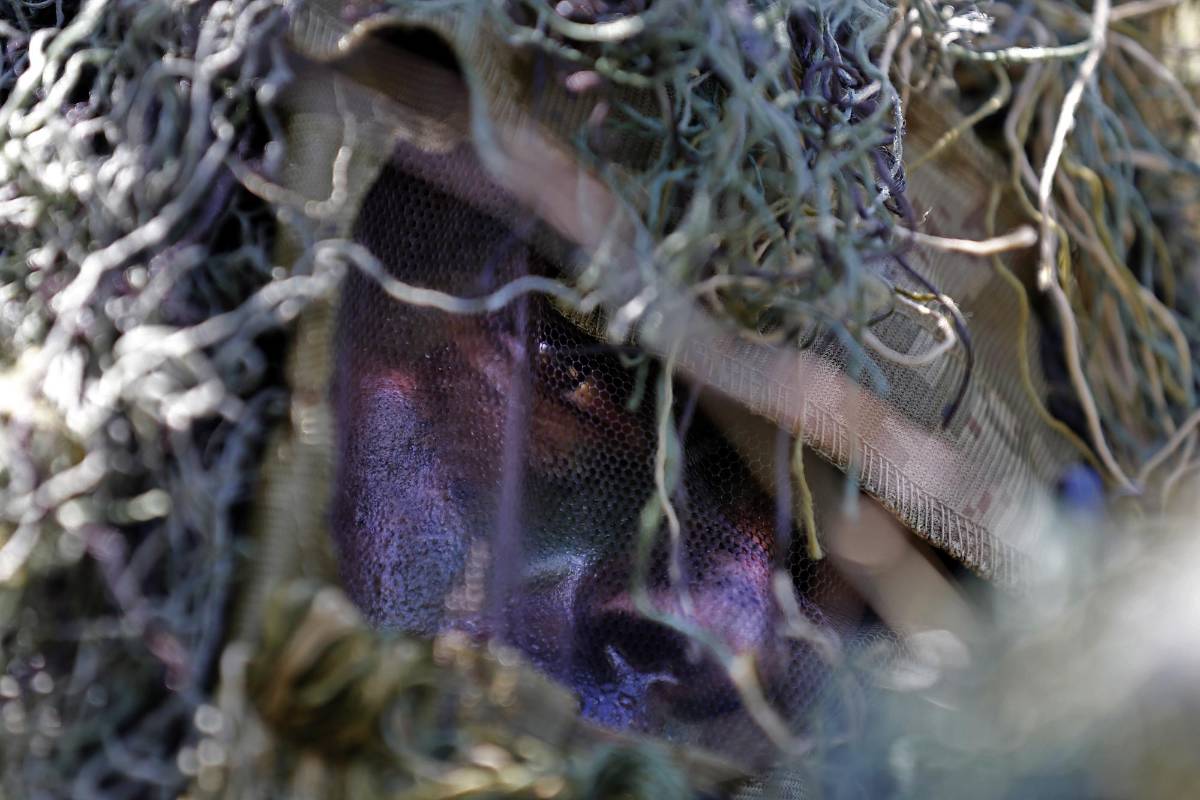 El Comando de Operaciones Especiales (Copes) de la Policía tiene escuadrones en Bogotá y el Valle de Aburrá. En esta última zona hay apenas cuatro tiradores /Henry Agudelo.