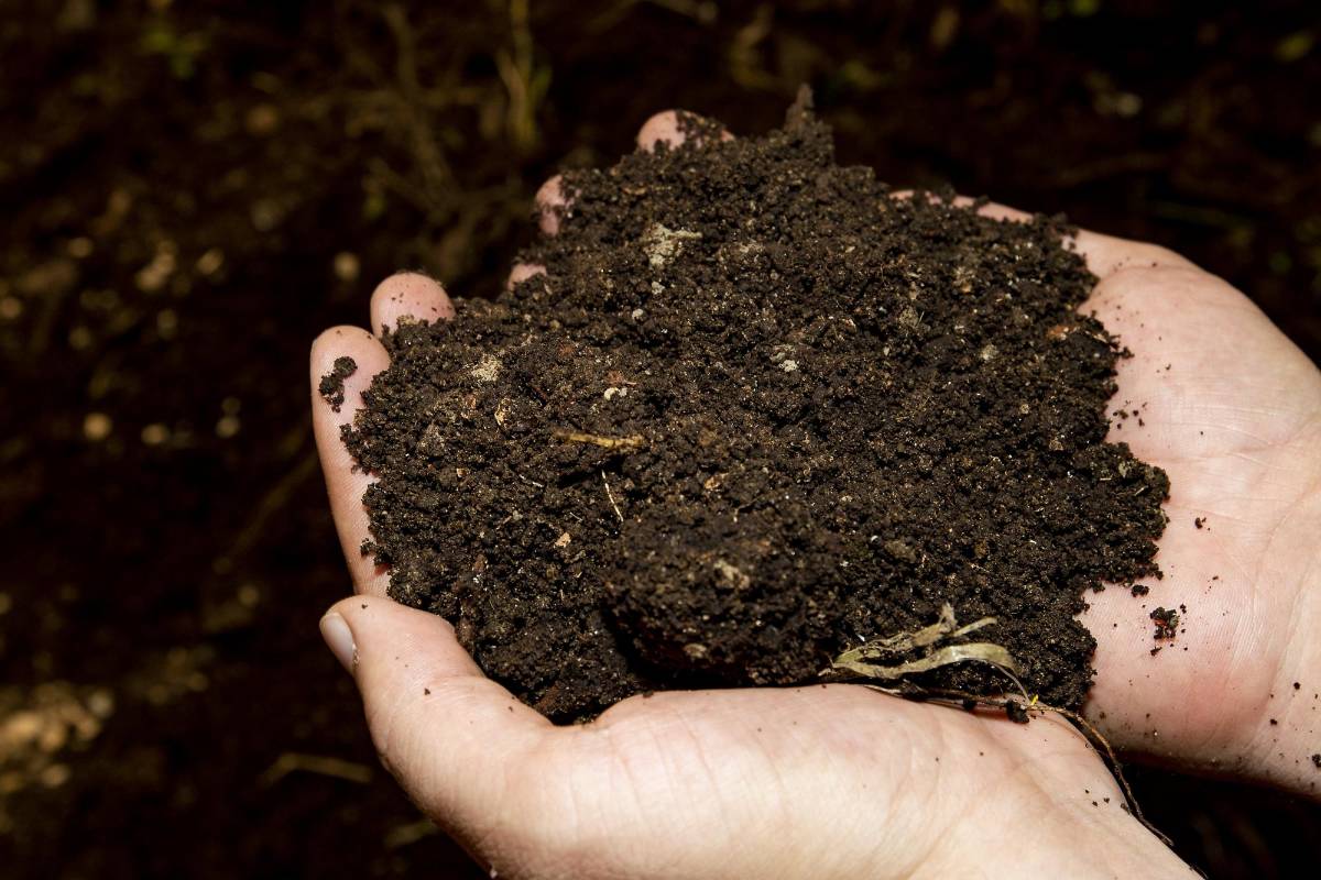 En el municipio de Argelia se procesan los residuos orgánicos para producir compostajes. Desde la cocina se empieza a realizar la separación de los residuos. Foto: Jaime Pérez