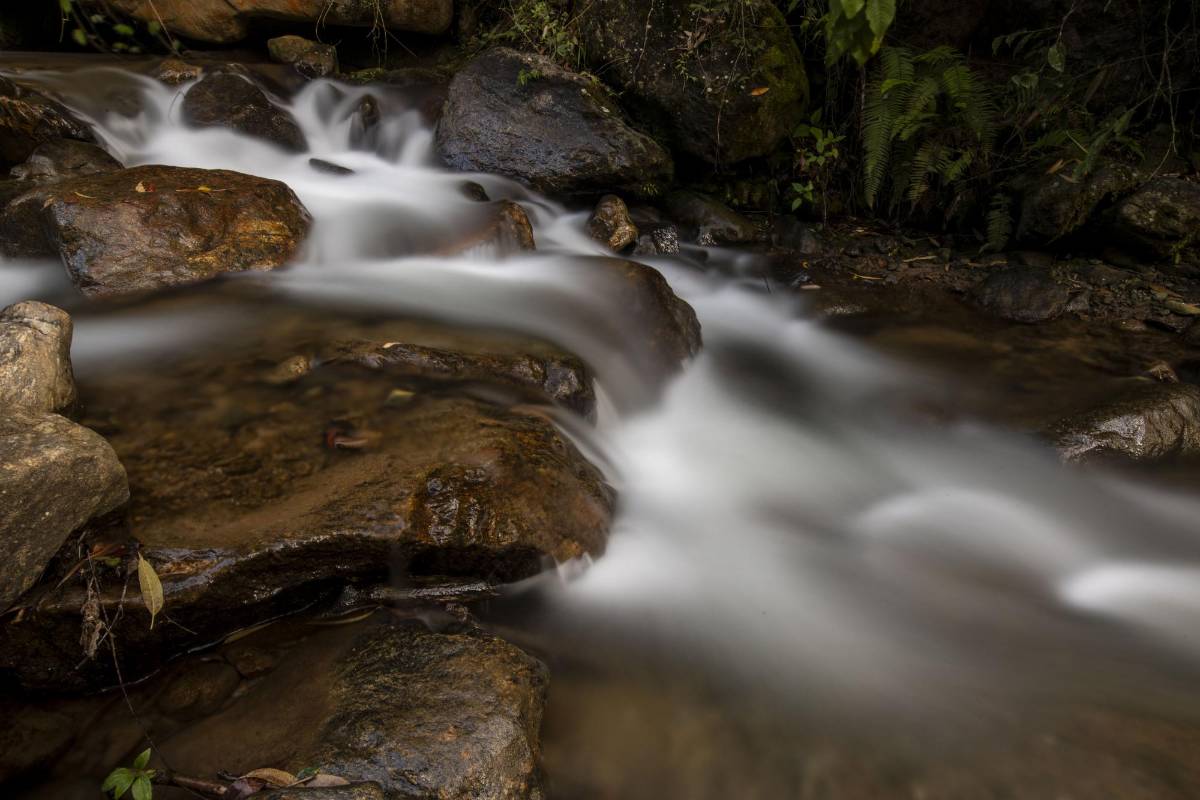 Esta quebrada nace en la vereda El Vallano pasa por El Salado y desemboca en el Río Medellín.. Foto: Edwin Bustamante