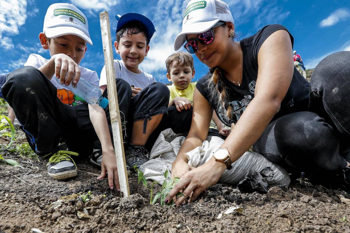 Este sitio se ha convertido en uno de los más visitados por los caminantes y amantes del deporte los fines de semana. FOTO JAIME PÉREZ MUNÉVAR