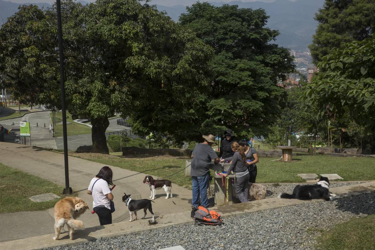 Se beneficiaron más de 48000 mil Personas de los barrios los naranjos, El Tesoro, Los Balsos, Alejandría y la Florida de la comuna El Poblado. Foto: Edwin Bustamante.