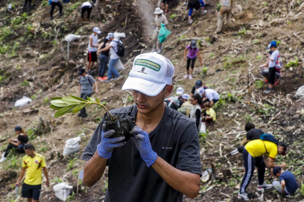 Se proyecta un parque ambiental con senderos y mucha arborización. FOTO JAIME PÉREZ MUNÉVAR