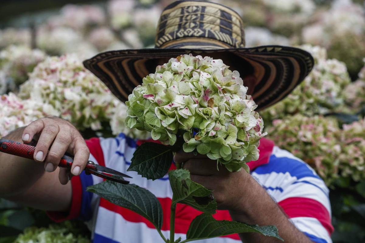 Están a la espera de que el Estado los apoye y ayude. Foto: Manuel Saldarriaga Quintero.