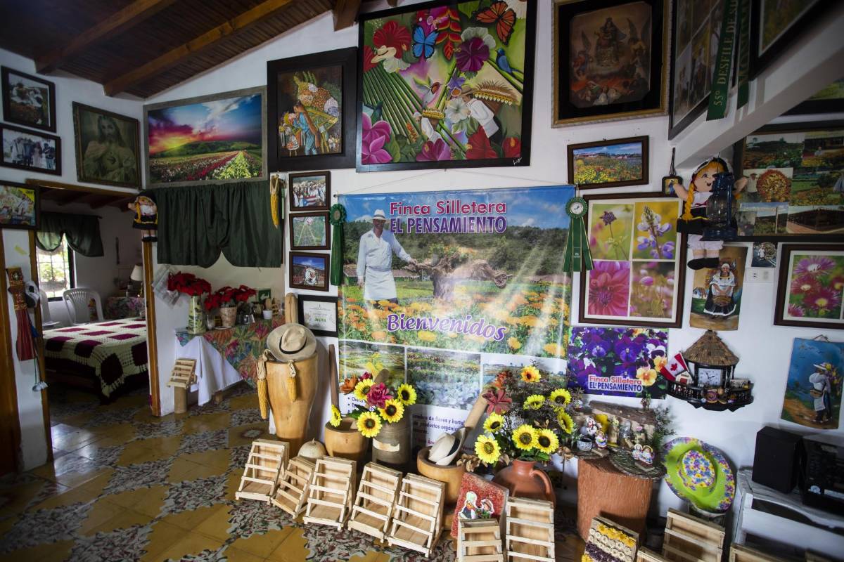 La edición 2020 de la Feria de las Flores se mantiene. La mayoría de las actividades se realizarán a la distancia para evitar aglomeraciones. Será una feria virtual, sin precedentes en la cuidad. Los silleteros siguen siendo los protagonistas. FOTO MANUEL SALDARRIAGA QUINTERO