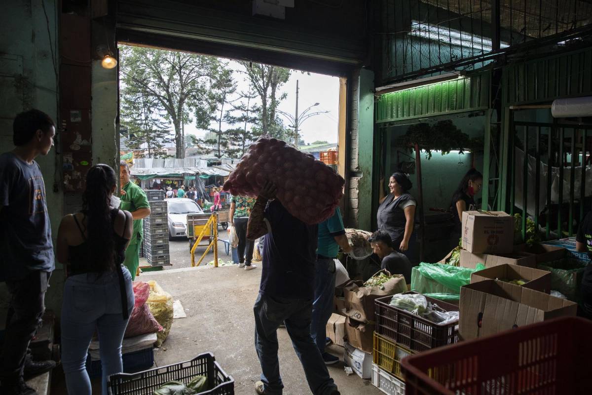 La variedad, los precios y la frescura de los productos son el gran atractivo de la Central Mayorista. Foto Edwin Bustamante