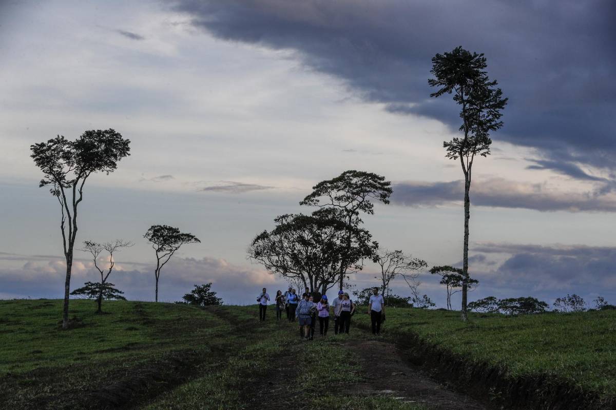 Es uno de los 24 Espacios Territoriales de Capacitación y Reincorporación (Etcr), en el que los excombatientes de la Farc aprovechan sus días para construir futuro a través de un turismo guiado para la comunidad y turistas que desean conocer donde antes eran territorios de conflicto. Foto: Manuel Saldarriaga Quintero