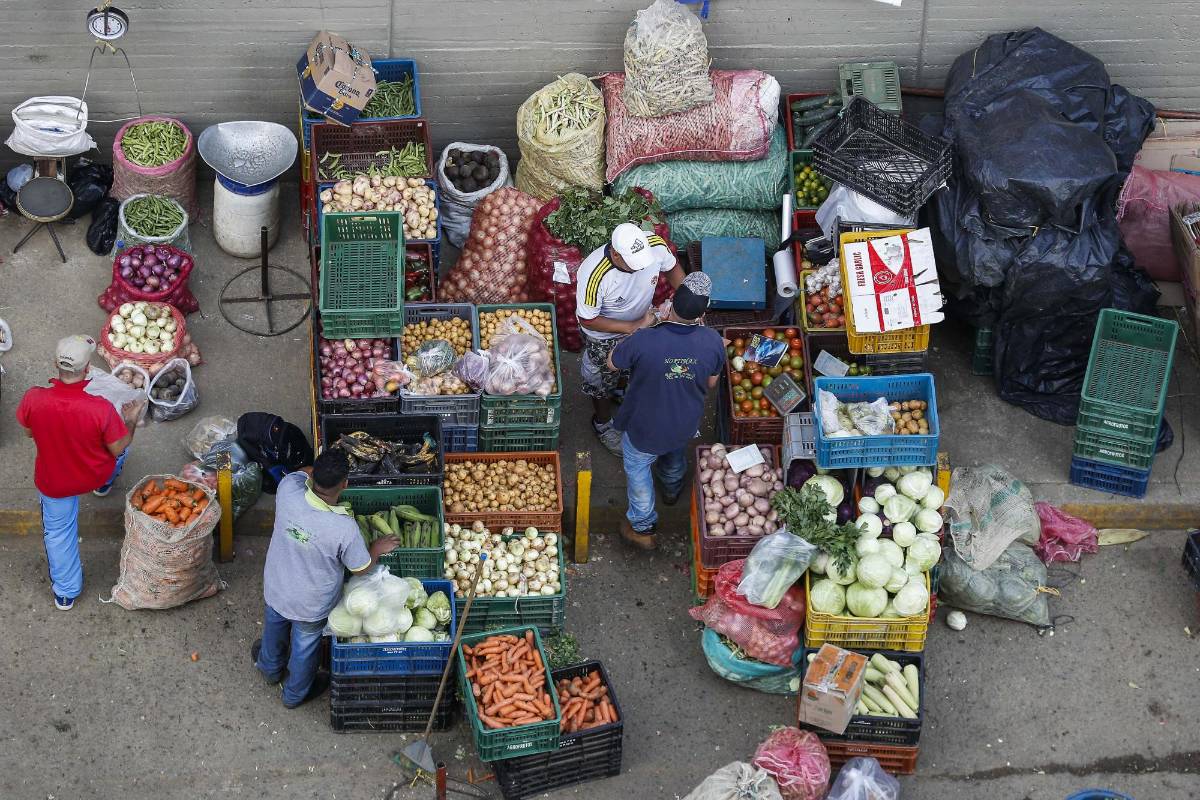Con un aproximado de 5.985 toneladas de productos proveniente del todo departamento, la plaza Mayorista se abastece para que las familias puedan conseguir a precios económicos sus alimentos. Foto: Manuel Saldarriaga Quintero.