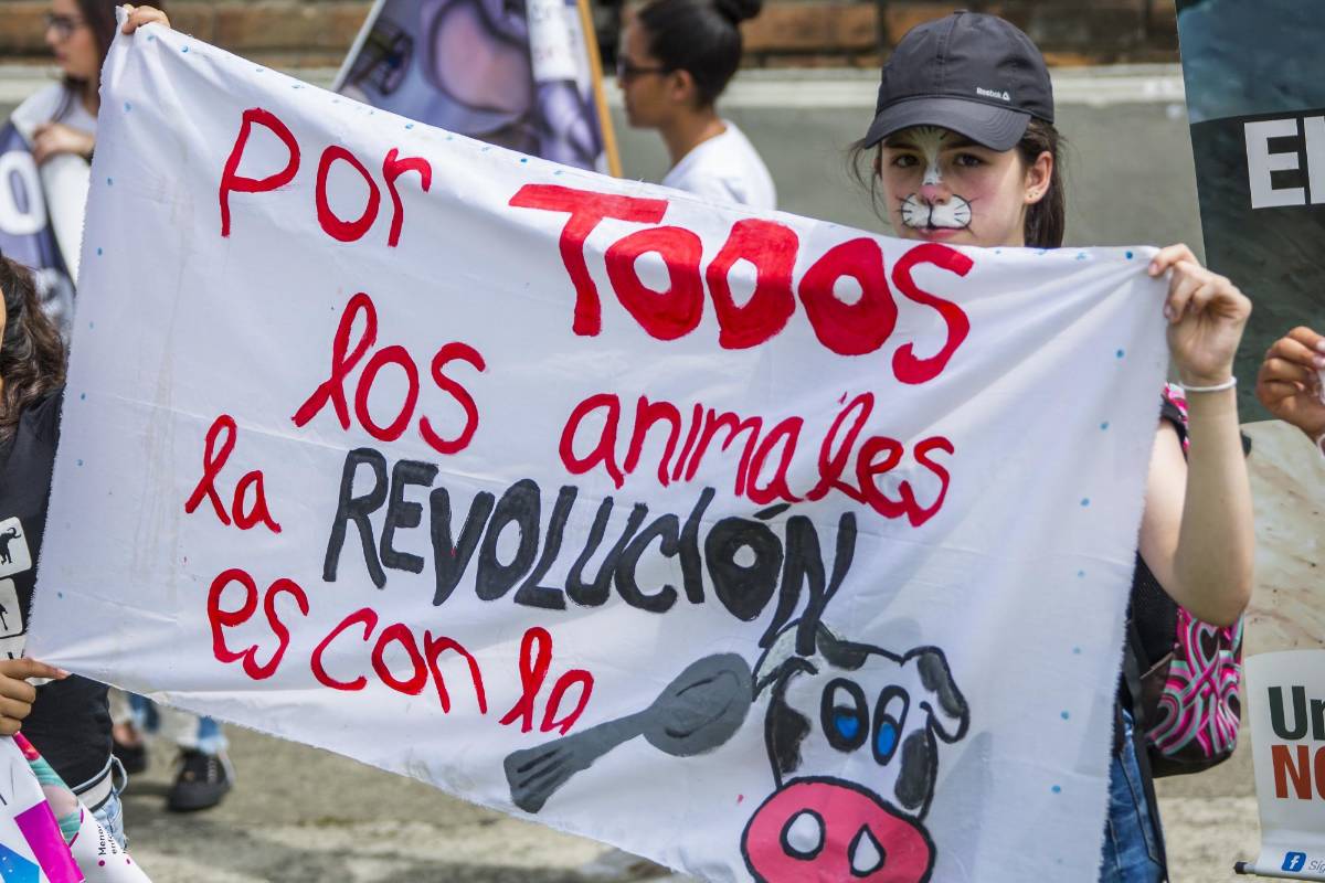 Además había pendones y pancartas que promovían el veganismo. FOTO CARLOS VELÁSQUEZ