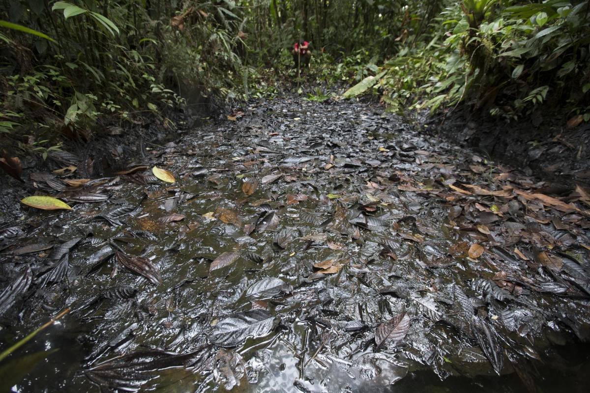 En las refinerías ilegales, los delincuentes cavan piscinas en la selva para llenarlas del combustible robado. FOTO: Donaldo Zuluaga.