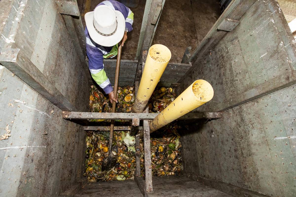 En el municipio de Argelia se procesan los residuos orgánicos para producir compostajes. Desde la cocina se empieza a realizar la separación de los residuos. Foto: Jaime Pérez