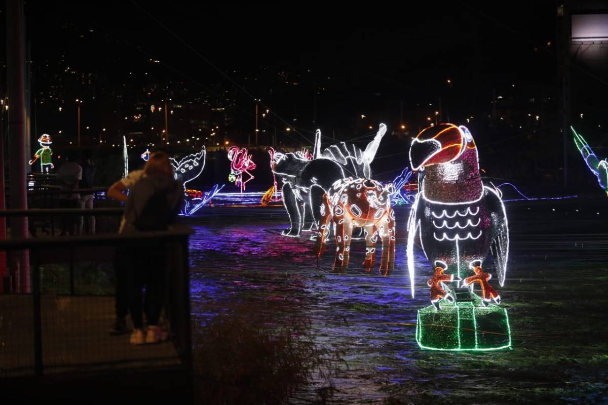 “Este año, los alumbrados buscan hacer un homenaje a toda la diversidad natural y cultural que tiene Colombia al exhibir los diferentes paisajes, animales, festividades y tradiciones de los diferentes pueblos y regiones del país”, explicó el gerente de EPM, Álvaro Guillermo Rendón López. Foto: Camilo Suárez 