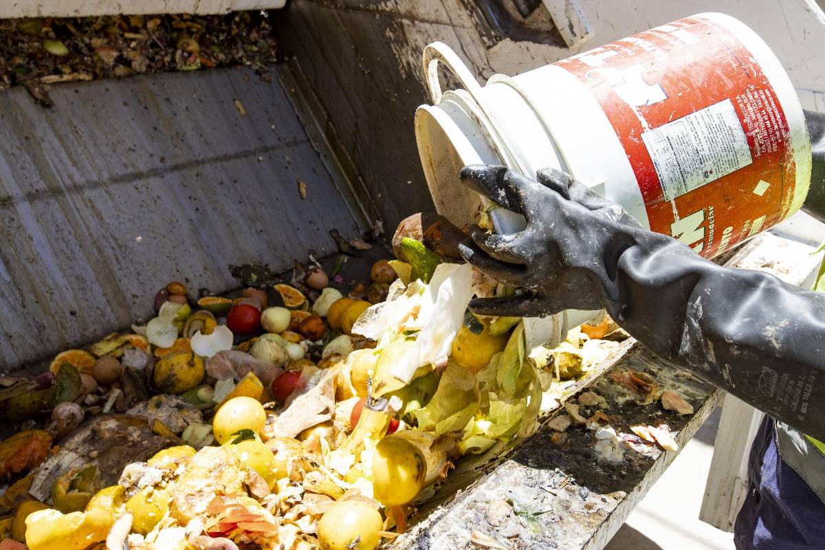En el municipio de Argelia se procesan los residuos orgánicos para producir compostajes. Desde la cocina se empieza a realizar la separación de los residuos. Foto: Jaime Pérez