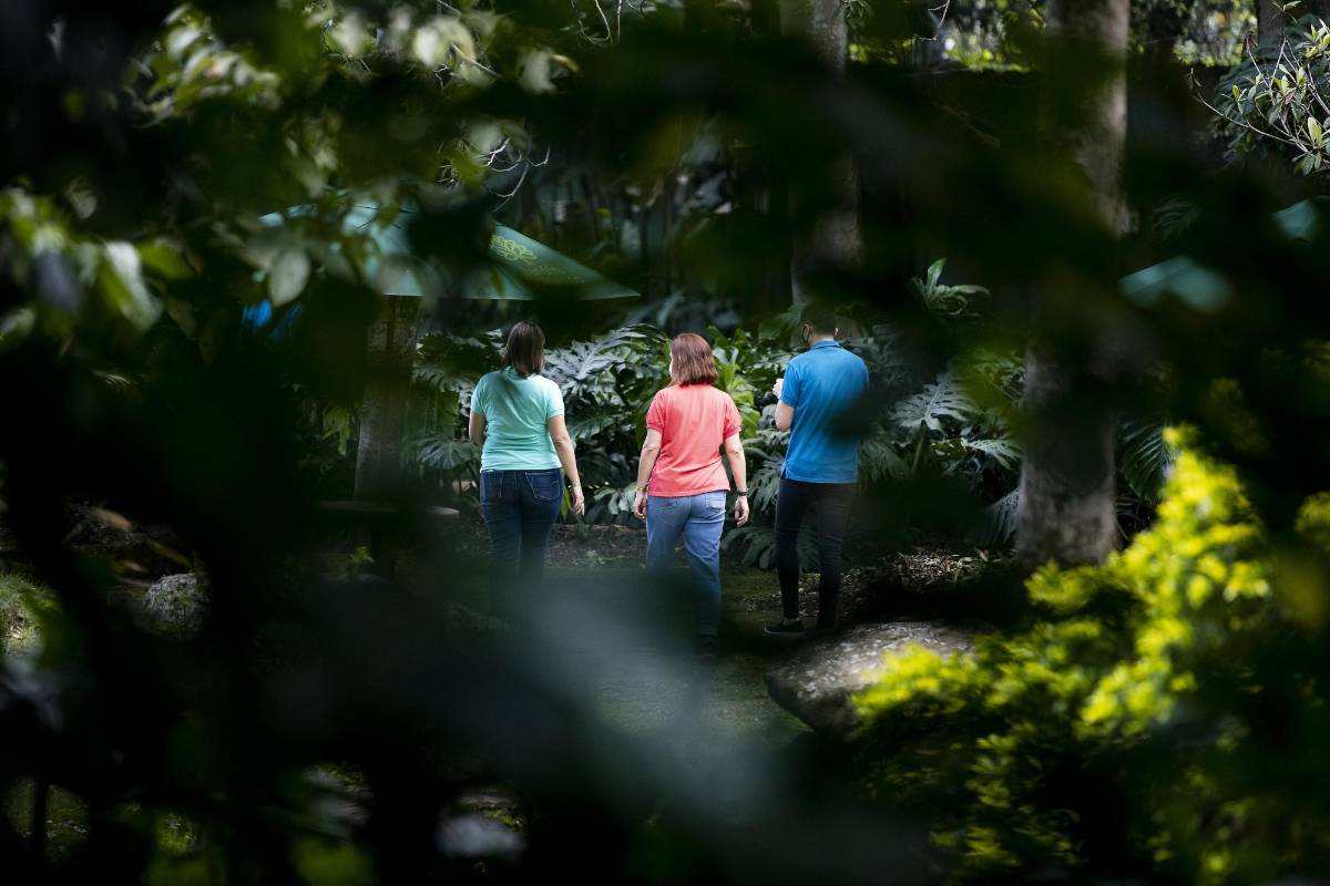 El Jardín abrirá parcialmente algunos espacios como el vivero, la tienda, la casa de las mariposas, el bosque tropical, el laboratorio de arquitectura urbana Foto: Jaime Pérez