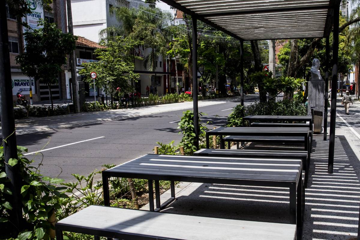 Esta renovación le da un nuevo panorama a esta avenida que había perdido su encanto. Foto Julio Herrera