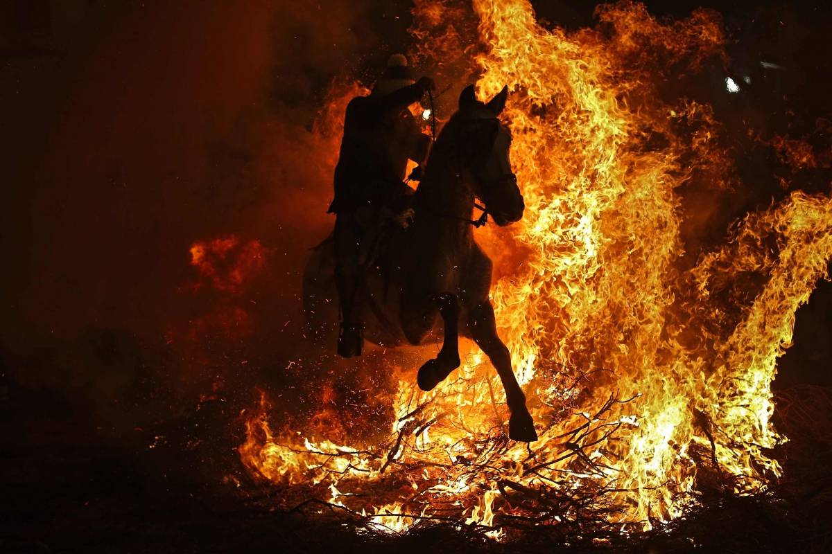 Fiestas en honor a San Antonio, patrono de los animales en España. FOTO Francisco Seco, AP