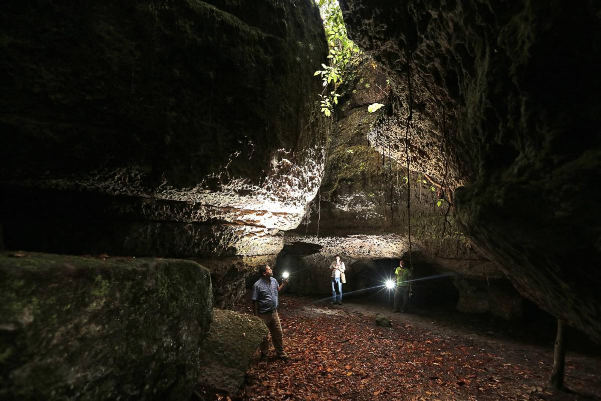 Guaviare: El primer atractivo que un turista puede encontrar en el departamento del Guaviare es la llamada Ciudad de Piedra ubicada en cercanías de la trocha Nuevo Tolima. Foto: Henry Agudelo Cano