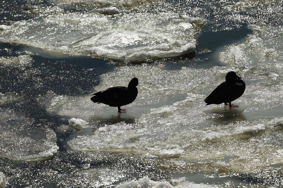 Ya este miércoles el hielo sobre el río Hudson era notable. FOTO AFP