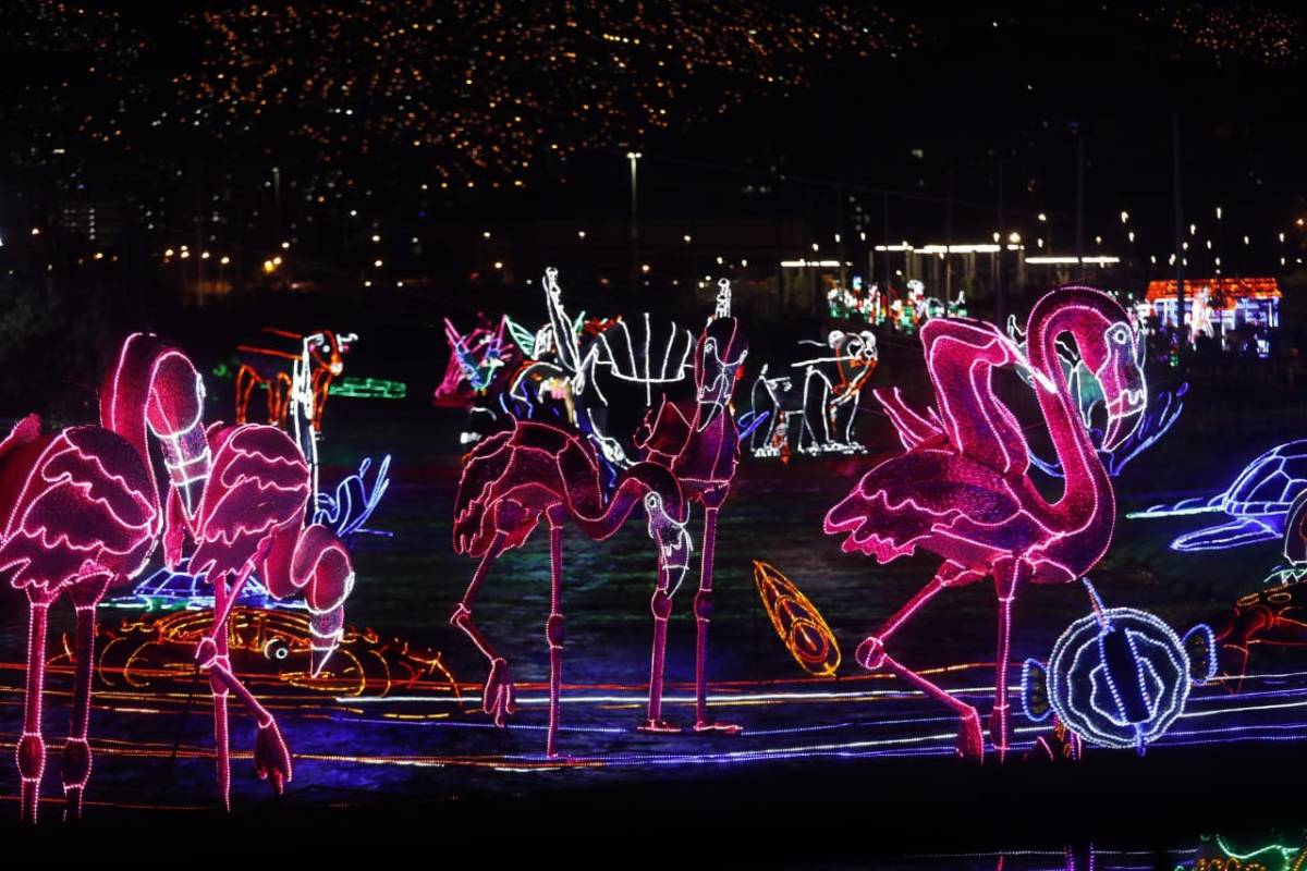 “Este año, los alumbrados buscan hacer un homenaje a toda la diversidad natural y cultural que tiene Colombia al exhibir los diferentes paisajes, animales, festividades y tradiciones de los diferentes pueblos y regiones del país”, explicó el gerente de EPM, Álvaro Guillermo Rendón López. Foto: Camilo Suárez 
