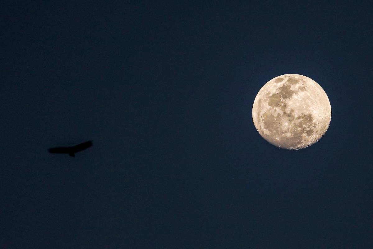 Luna llena vista desde Envigado. FOTO JAIME PÉREZ