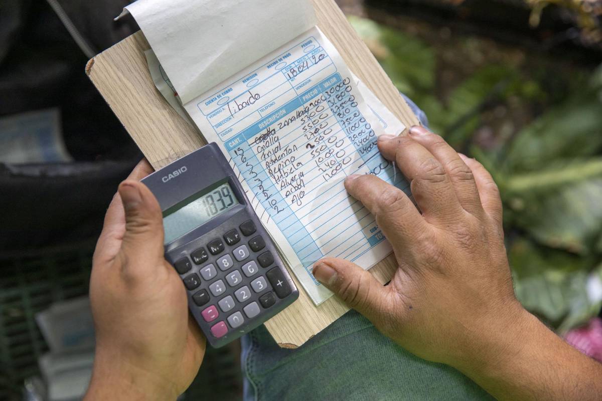 La variedad, los precios y la frescura de los productos son el gran atractivo de la Central Mayorista. Foto Edwin Bustamante