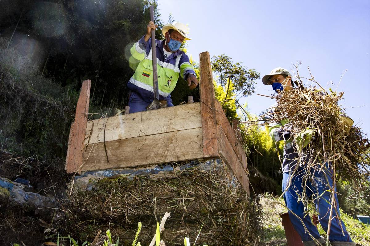 En el municipio de Argelia se procesan los residuos orgánicos para producir compostajes. Desde la cocina se empieza a realizar la separación de los residuos. Foto: Jaime Pérez