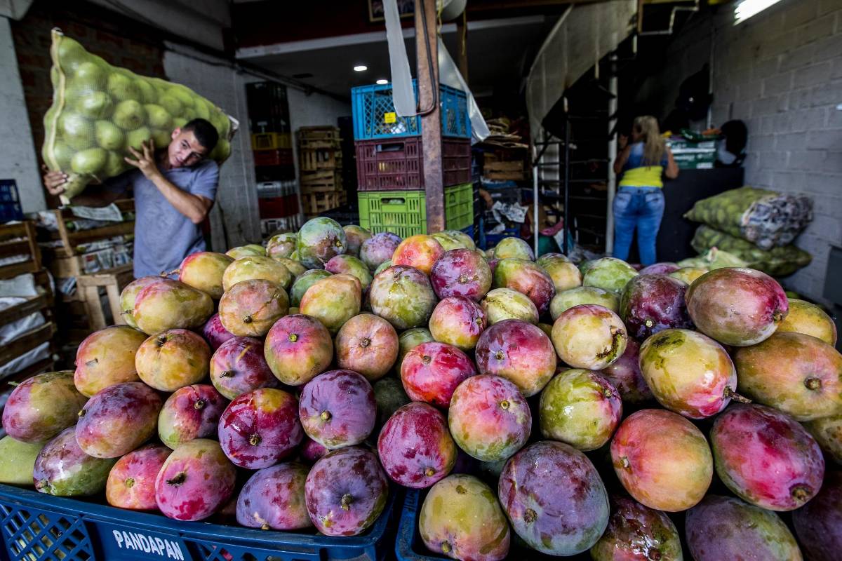 La variedad, los precios y la frescura de los productos son el gran atractivo de la Central Mayorista. Foto Jaime Pérez