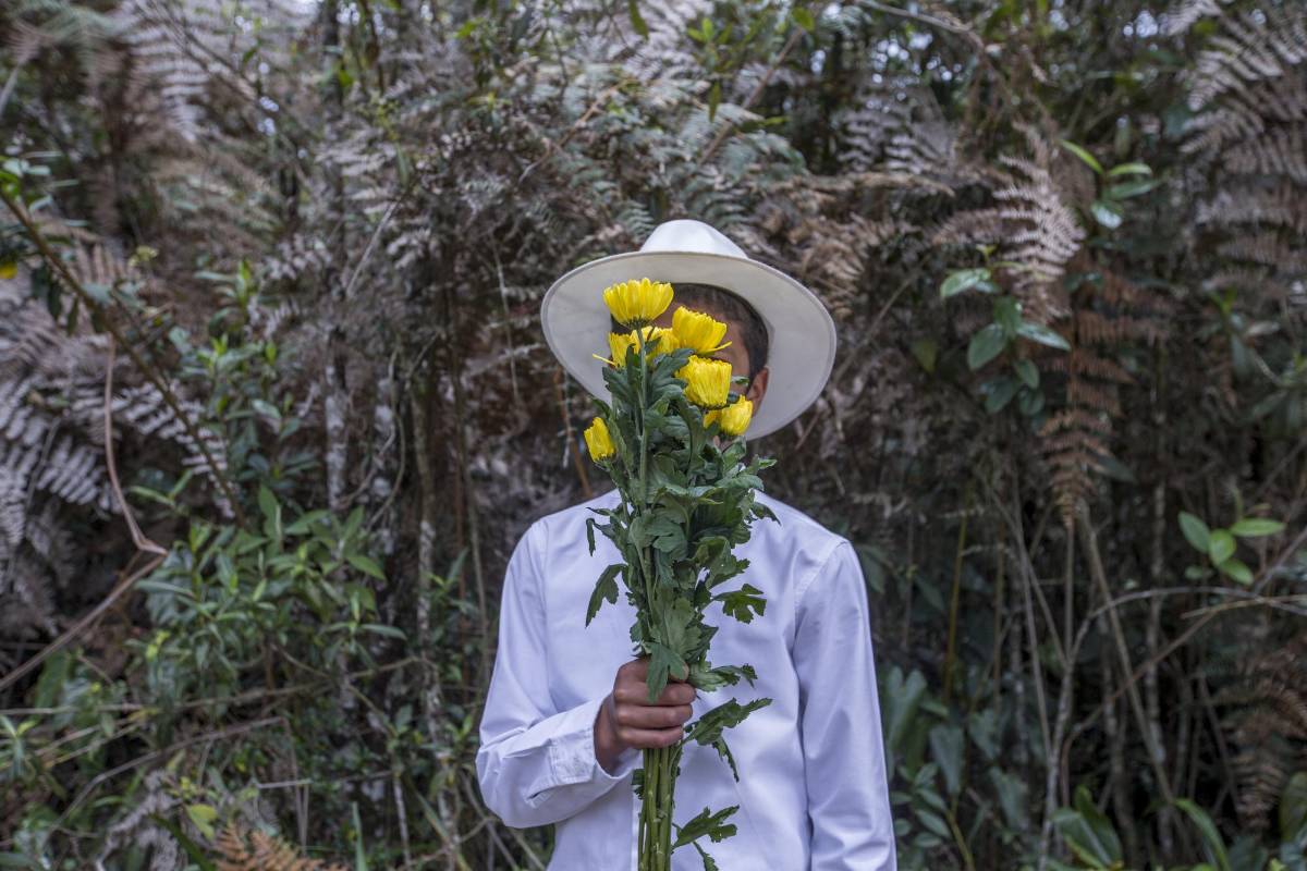 Adrián Rios 13.Vereda Piedra Gorda.Flores Amarillas. FOTO: Santiago Mesa