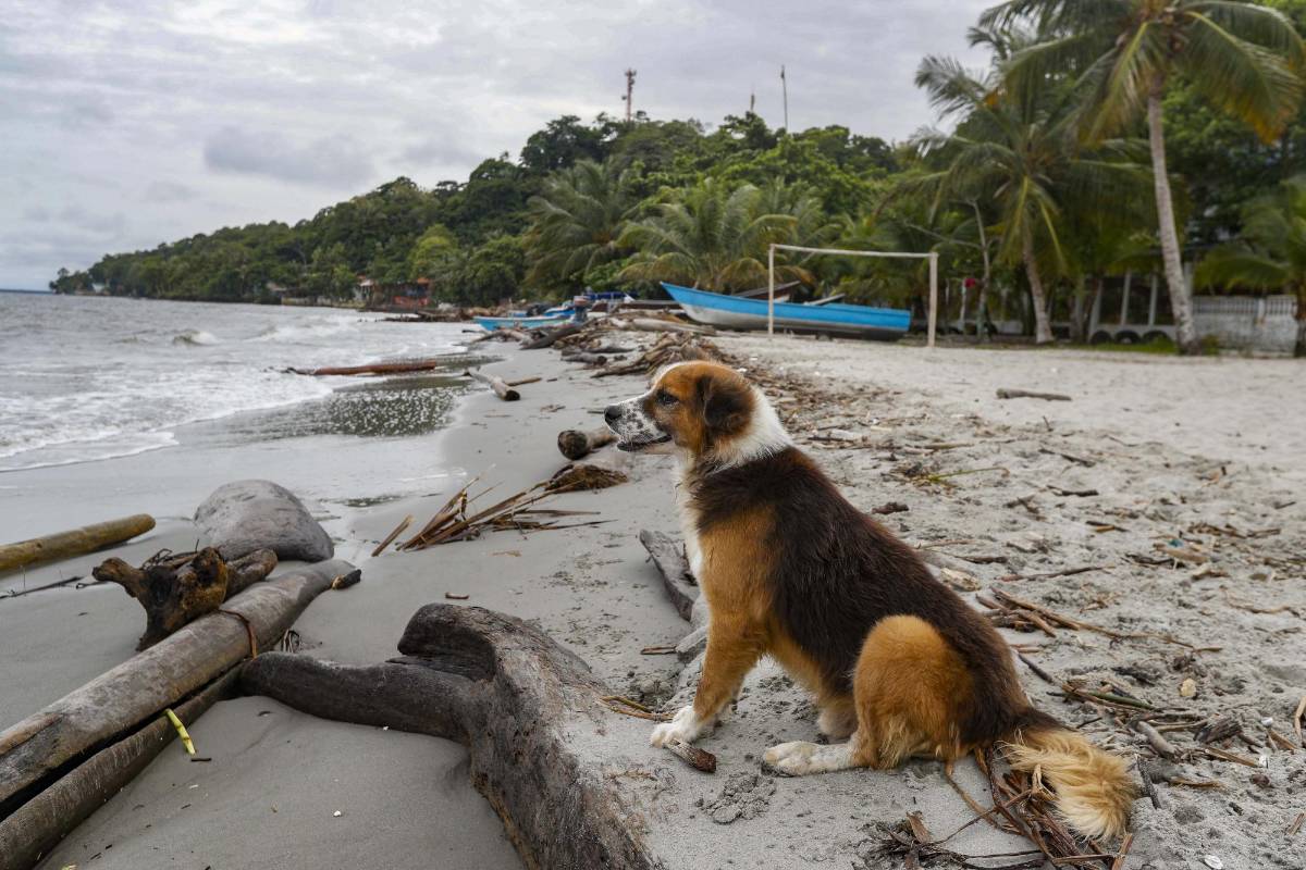 Las Medidas de bioseguridad para volver al mar, implicaran un cambio de mentalidad en la forma de vacacionar con el fin de garantizar el cuidado para evitar contagios de covid . Foto: Manuel Saldarriaga Quintero.