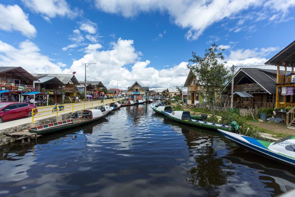 El santuario de fauna y flora isla de la Corota está ubicado en la laguna de cocha una de las mas grandes de Colombia en pasto. Foto: Camilo Suárez Echeverry.