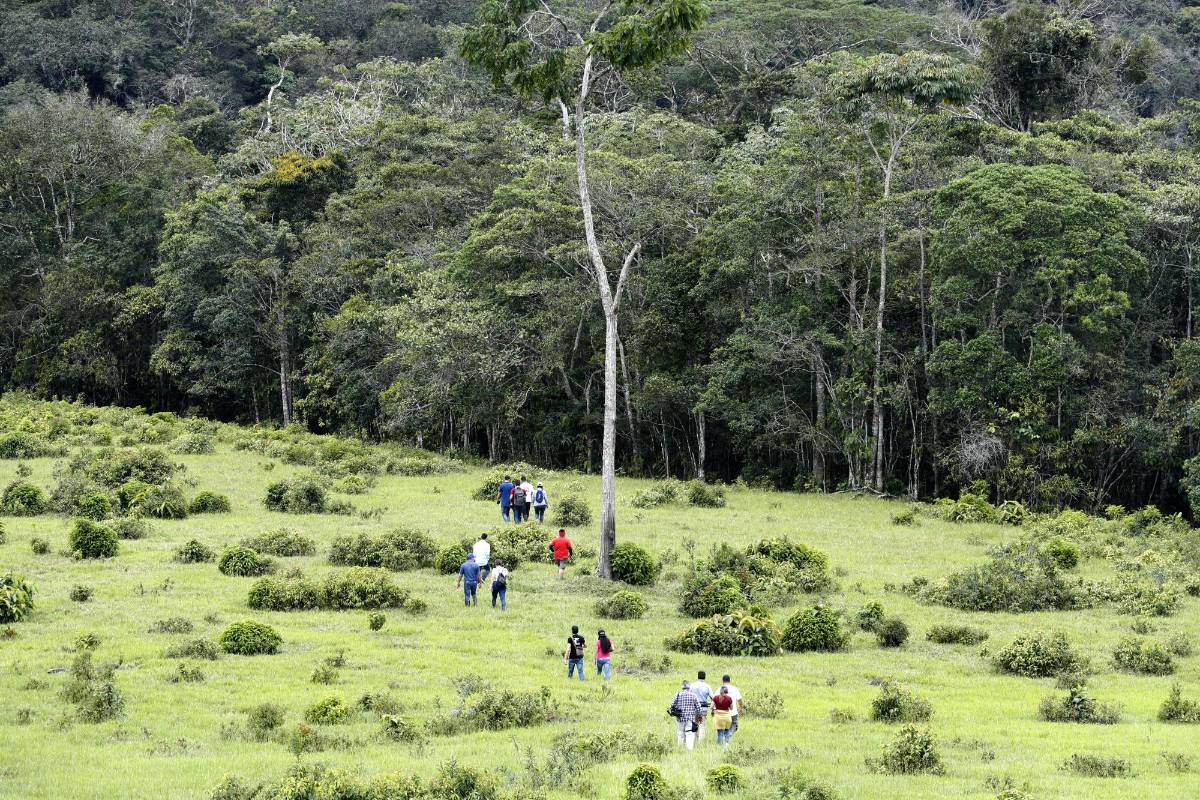 Es uno de los 24 Espacios Territoriales de Capacitación y Reincorporación (Etcr), en el que los excombatientes de la Farc aprovechan sus días para construir futuro a través de un turismo guiado para la comunidad y turistas que desean conocer donde antes eran territorios de conflicto. Foto: Manuel Saldarriaga Quintero