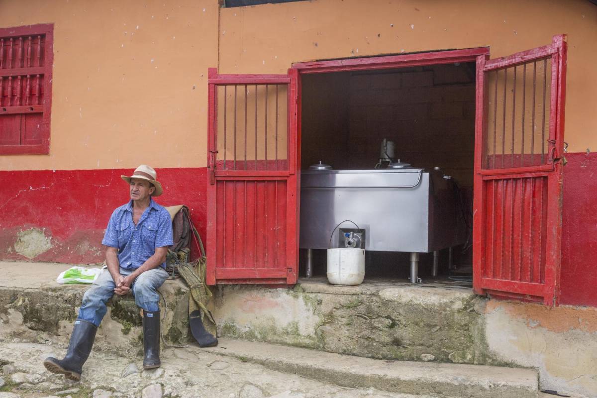 Gustavo Elías Mazo en su finca del municipio de Belmira. Atrás, el tanque de enfriamiento en el que se almacena la leche. Foto: Edwin Bustamante