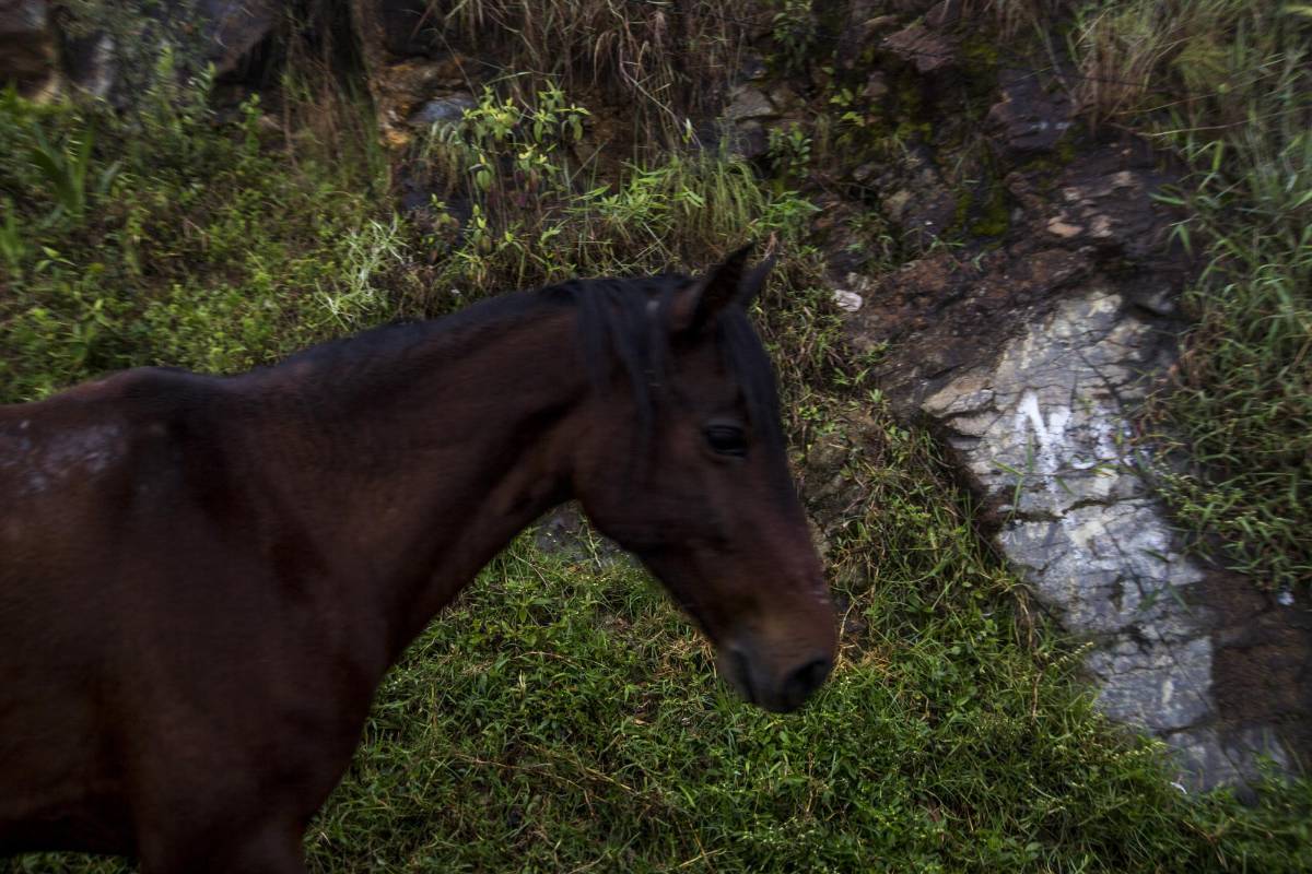 “Queremos contar cómo convive una ciudad rural con la urbe” dice Anthony Duque, un joven de 25 años e integrante del colectivo “Elemento Ilegal”, que está detrás de la propuesta turística. FOTO: SANTIAGO MESA