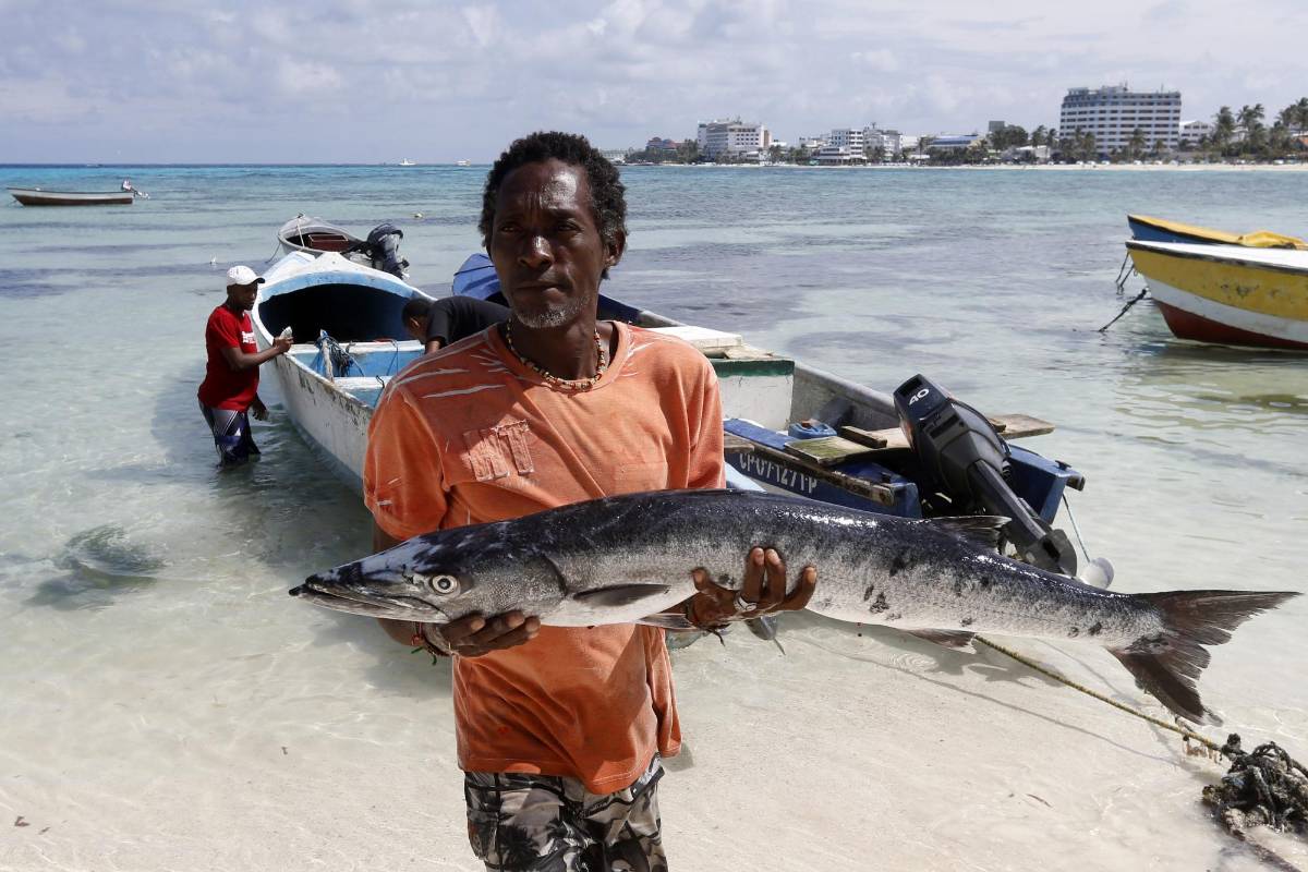 La gran mayoría de los pescadores cambiaron sus faenas. Ya no van al meridiano 82.
