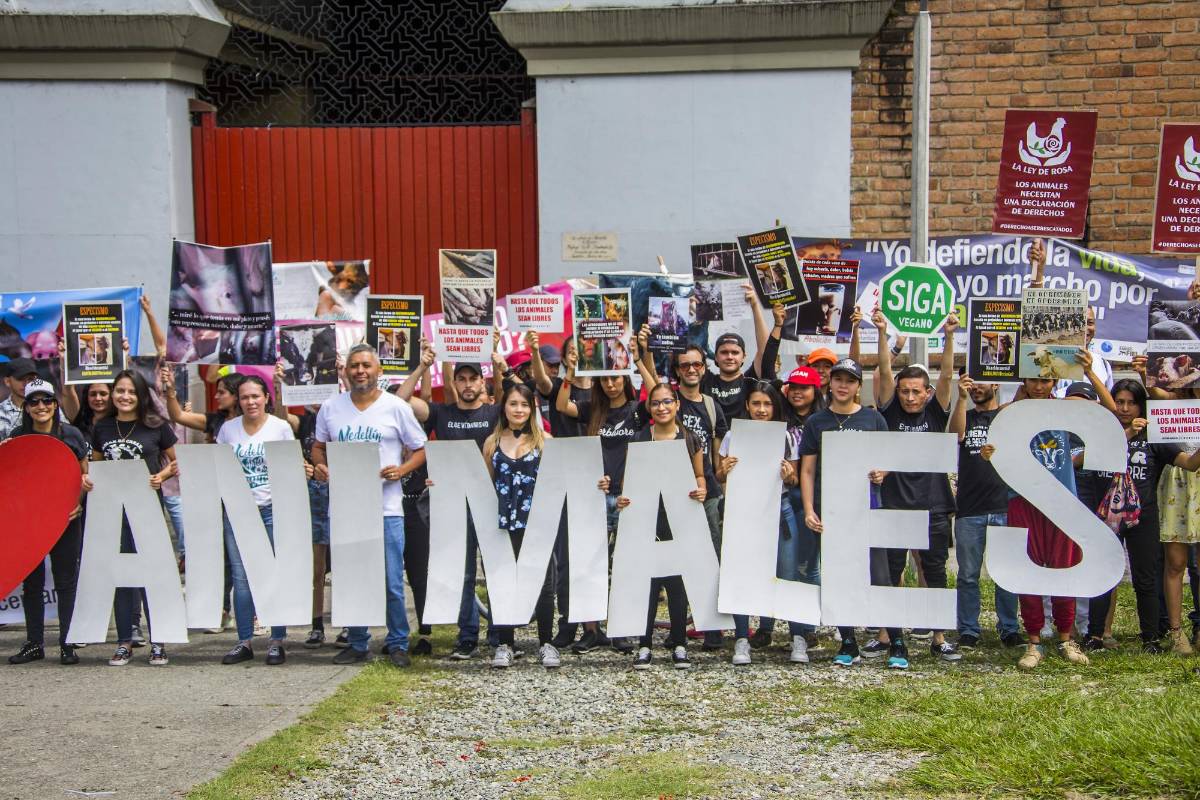 Un grupo de ciudadanos marchó en la mañana de este domingo como parte del Día Mundial de los Animales que se celebró el viernes pasado. FOTO CARLOS VELÁSQUEZ