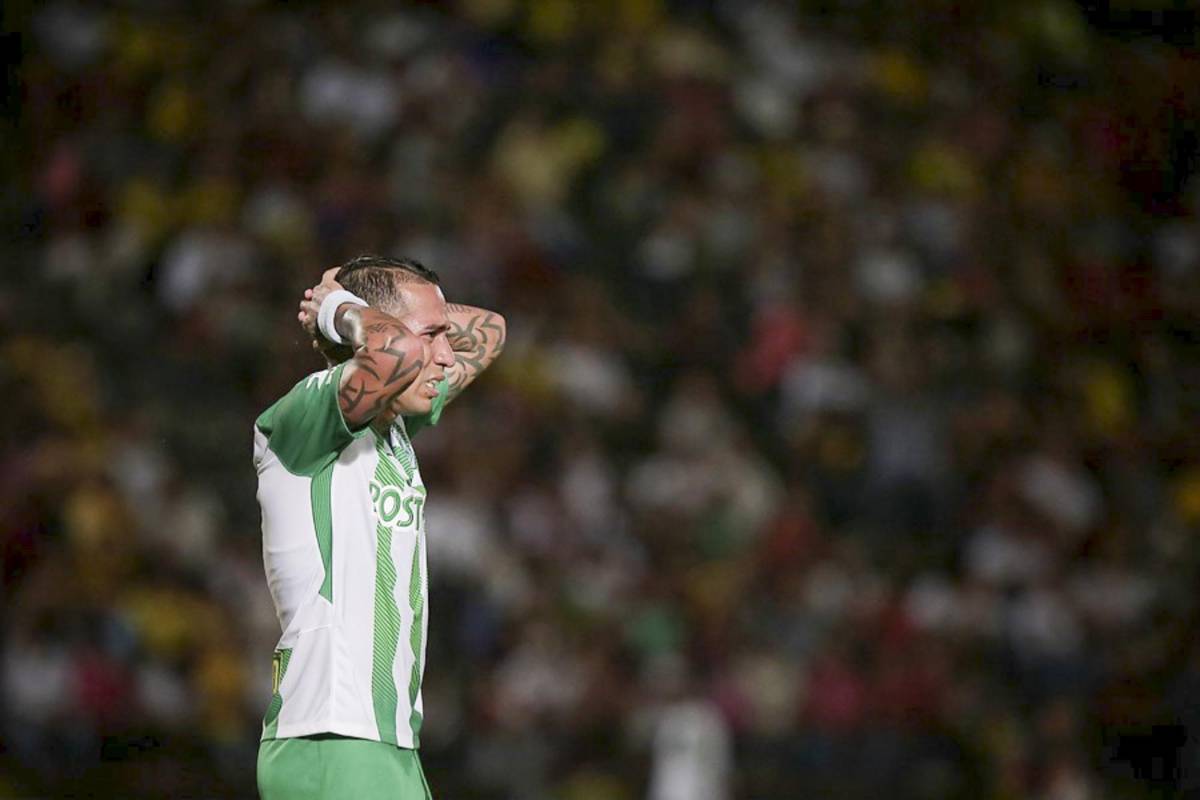 Una genialidad del atacante Dayro Moreno le dio la ventaja al verde este miércoles 1-0 ante el Tolima en la ciudad de Ibagué. Foto: Luisa González, Colprensa
