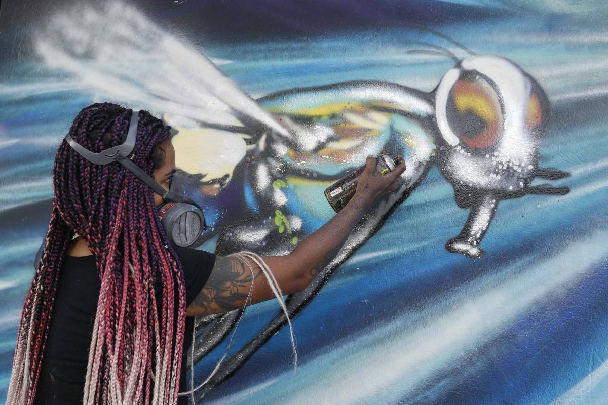 23 artistas urbanos tomaron sus aerosoles y brochas para darle color a la avenida Guayabal en el festival de grafiti de Comfenalco, Medellín. La temática de este año fue aquellos animales indeseados por ciertas personas que los consideran como “plagas” pero que son importantes para el ecosistema. Foto: Manuel Saldarriaga Quintero.