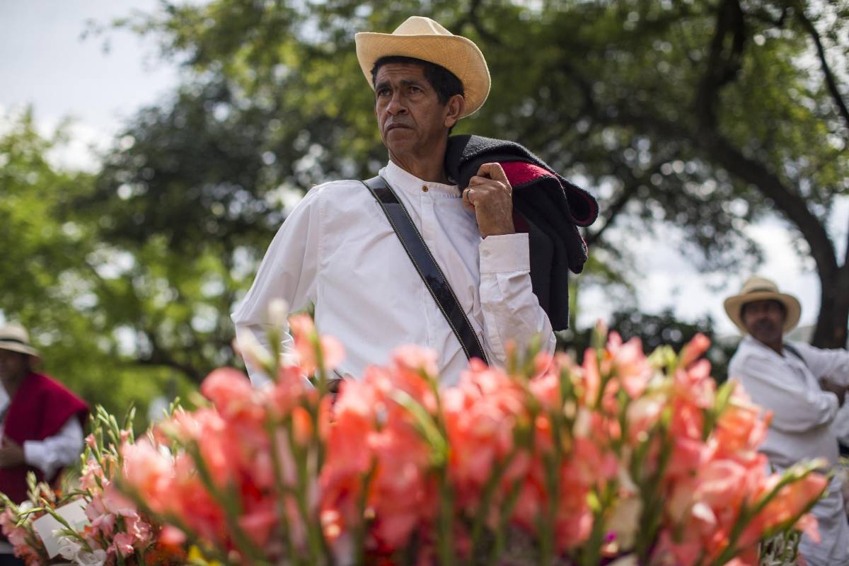 Una multitud se agolpó a lado y lado de la avenida Guayabal para admirar el trabajo y la resistencia de los 510 silleteros. FOTO ESTEBAN VANEGAS
